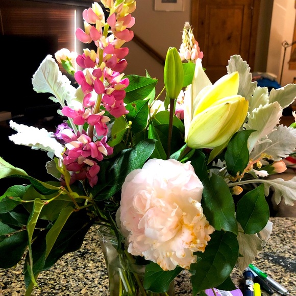 Meet your Posher, Jennifer - Picture 5 of 14